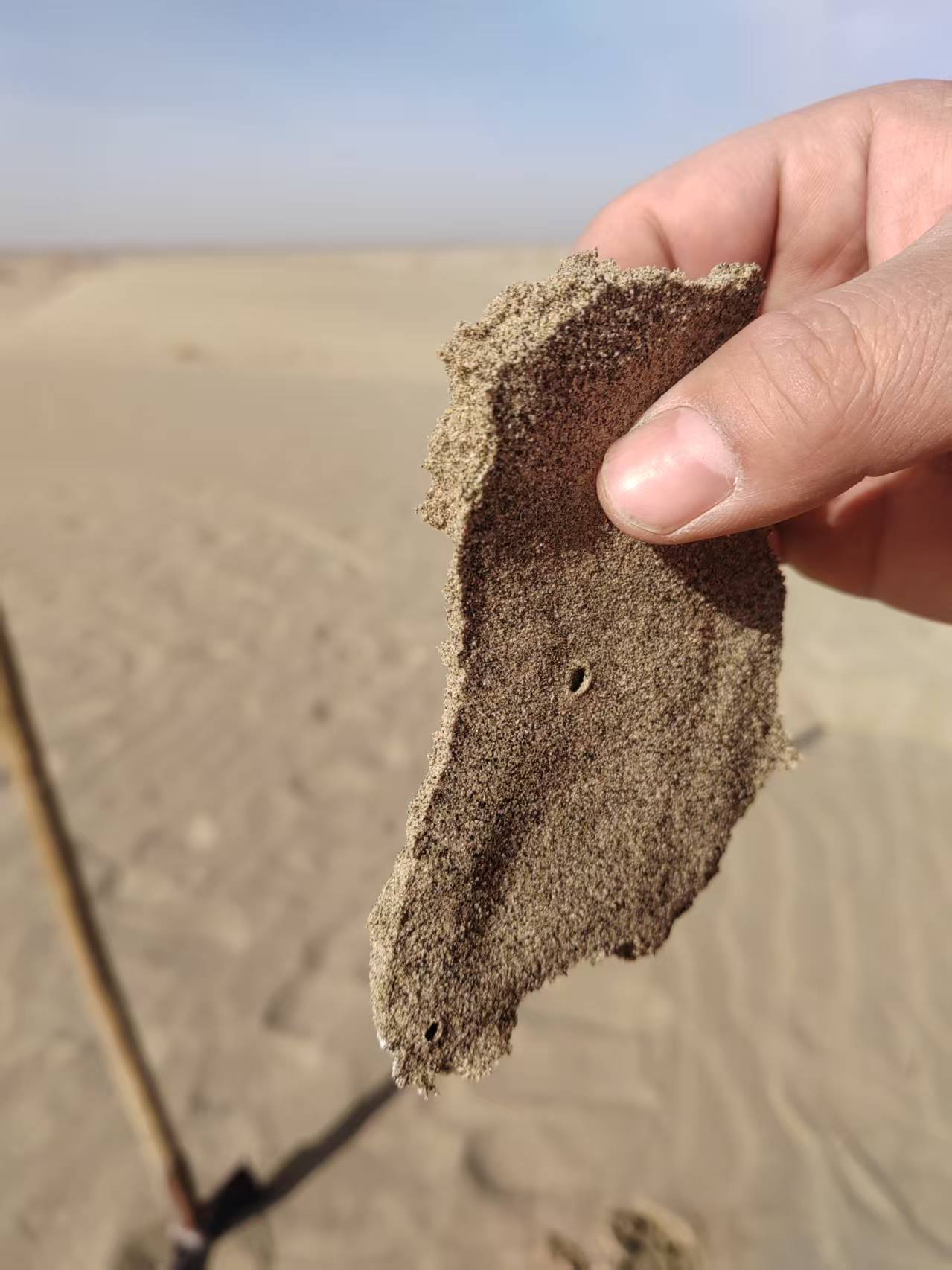 Eco-Friendly Dust Control Agent: The Sustainable Solution for Suppressing Dust Naturally